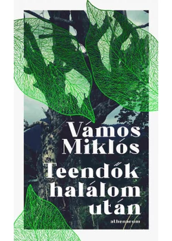 Teendők halálom után