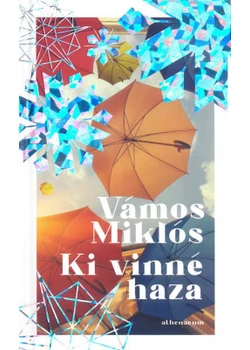 Ki vinné haza