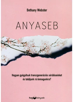 Anyaseb