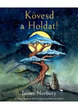 Kövesd a Holdat!