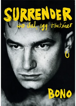 Surrender-40 dal,egy történet
