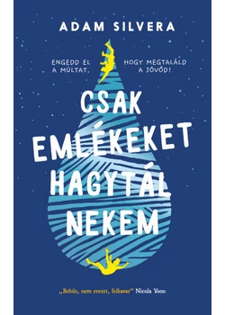 Csak emlékeket hagytál nekem