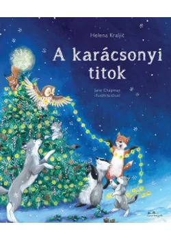 A karácsonyi titok