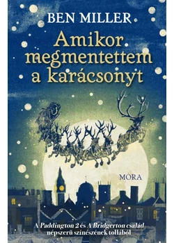 Amikor megmentettem a karácsonyt