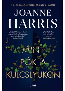 Mint pók a kulcslyukon