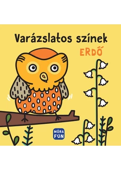 Varázslatos színek - Erdő