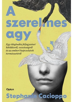 A szerelmes agy