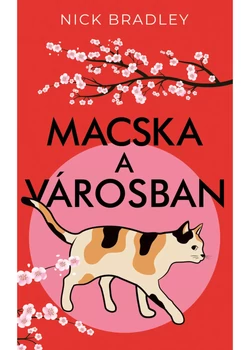 Macska a városban