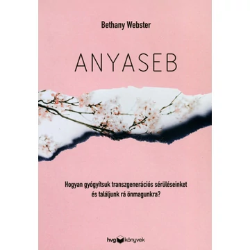 Anyaseb