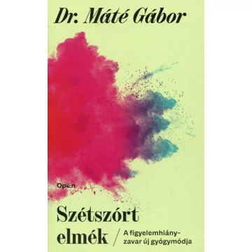 Szétszórt elmék - A figyelemhiány zavar új gyógymódja