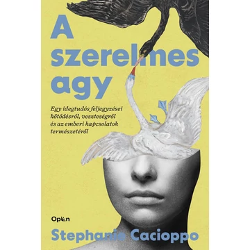 A szerelmes agy