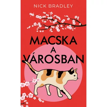 Macska a városban