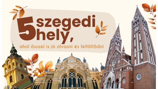 5 szegedi hely, ahol ősszel is jó olvasni és feltöltődni