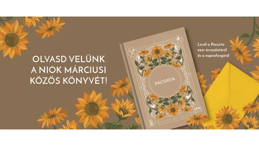 Az Aranylétrás Kosztolányi-regény, amely a modern társadalom tabuit is képes feszegetni