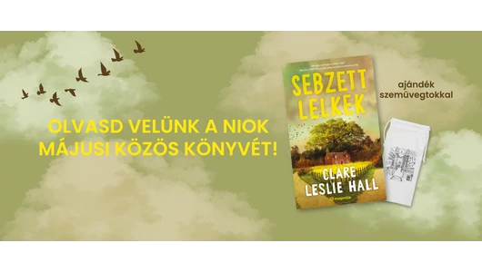 Miért gondolják világszerte, hogy tökéletes regény a Sebzett lelkek? Soroljuk a válaszokat!