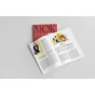 NIOK Magazin - 4. szám